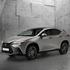 Novi Lexus NX