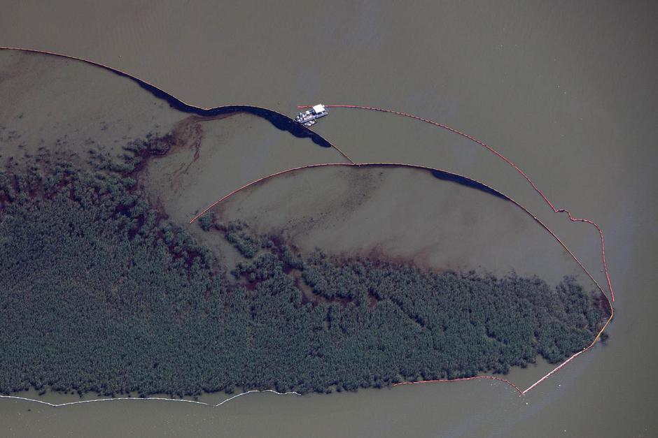  | Avtor: Žurnal24 main