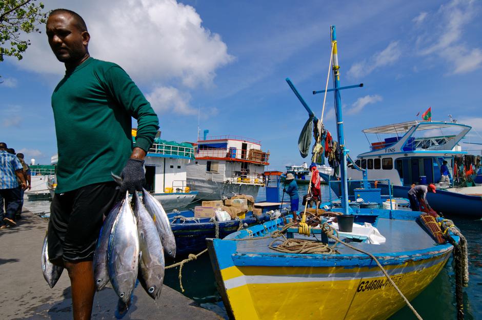 Maldivi | Avtor: Profimedia