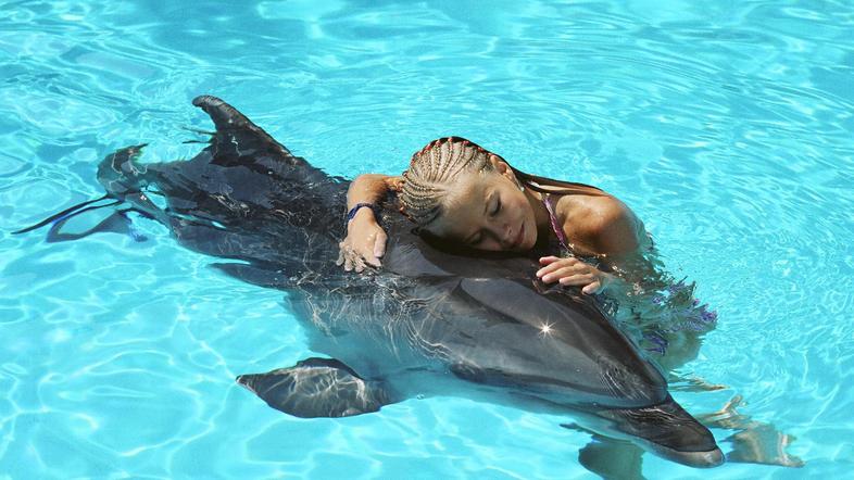 Več o alfaterapiji lahko najdete na www.dolphinswim.net.