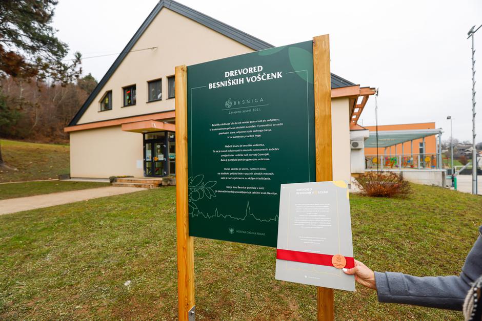  | Avtor: Anže Krže/Mediaspeed