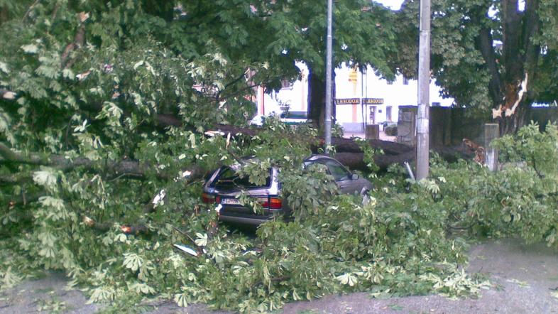 Arhivski posnetek. (Foto: bralka Mateja Verbič)