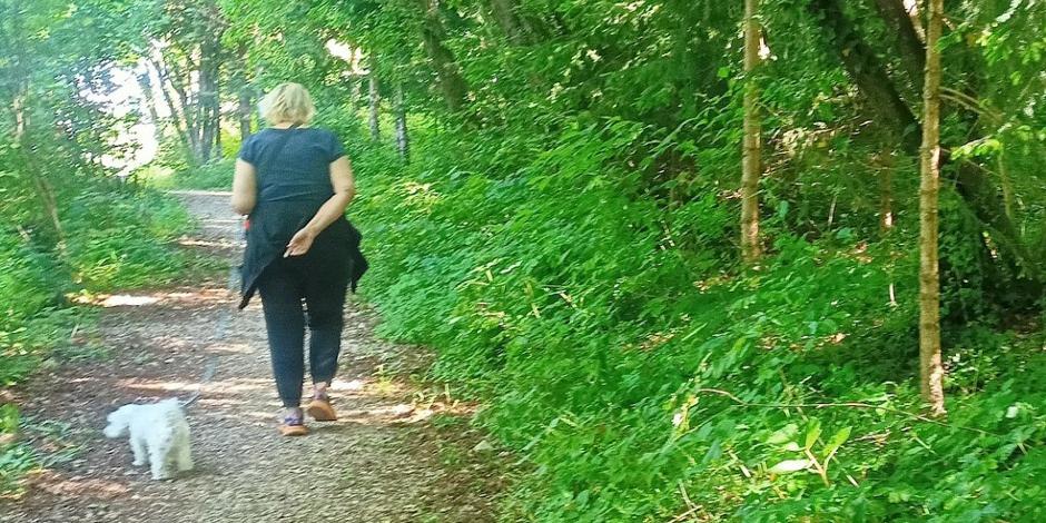 Gradišče | Avtor: D. M.