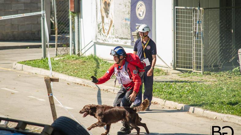 Svetovno prvenstvo reševalnih psov