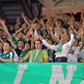 Olimpija - Panathinaikos, navijači