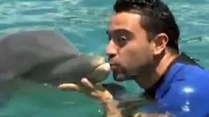 Barcelona delfin