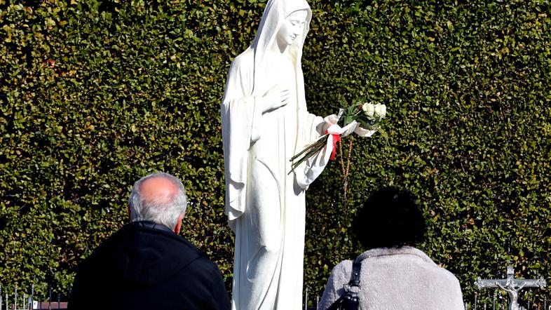Kip device Marije
