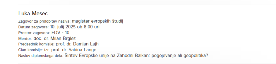 Luka Mesec magistrska naloga