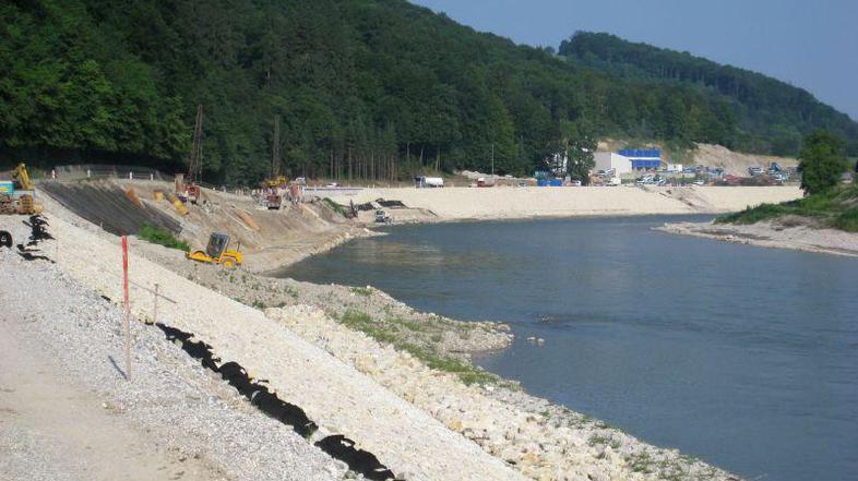 Kamnite brežine živalim ne morejo nuditi zavetja, zato so Savo zapustile.