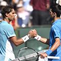 novak djokovic rafael nadal