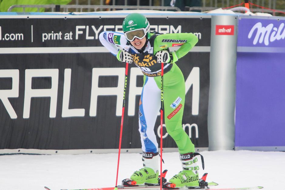 Zlata lisica | Avtor: Saša Despot