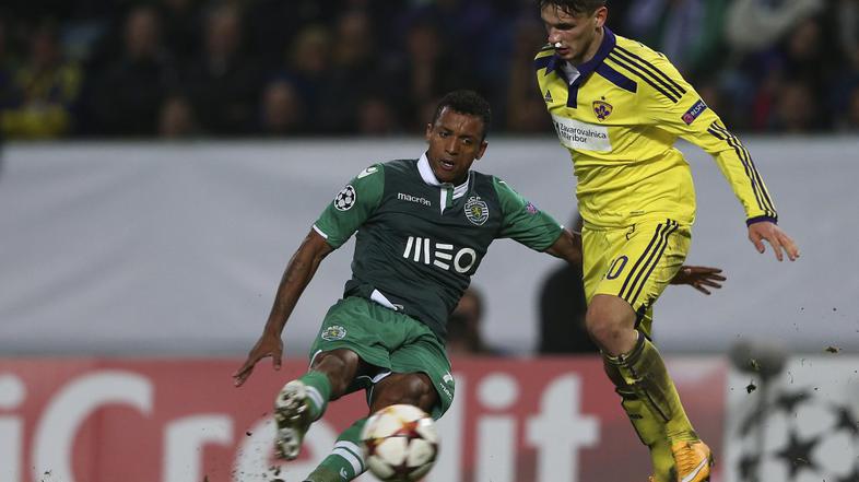 Nani Petar Stojanović Sporting Maribor Liga prvakov