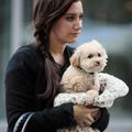 Ashley Tisdale