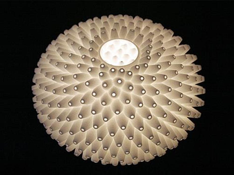 Lučka, ki spominja na morsko vetrnico ...