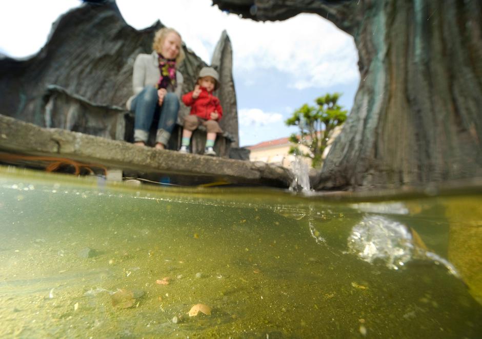 Družinske finance | Avtor: Profimedia