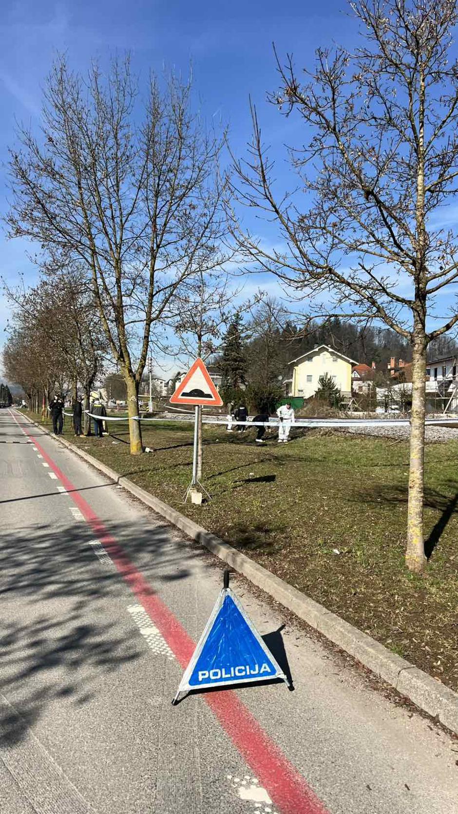 Policisti na terenu | Avtor: Saša Despot