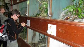 Izvedba otroških delavnic trenutno ni mogoča, je pa v idejnem osnutku nove zgrad