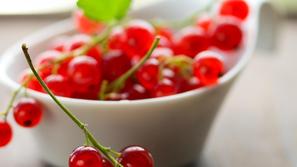 Naužijmo se okusnih in zdravih jagod sveže obranega ribeza. (Foto: Shutterstock)