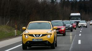 Veliki primerjalni test križancev