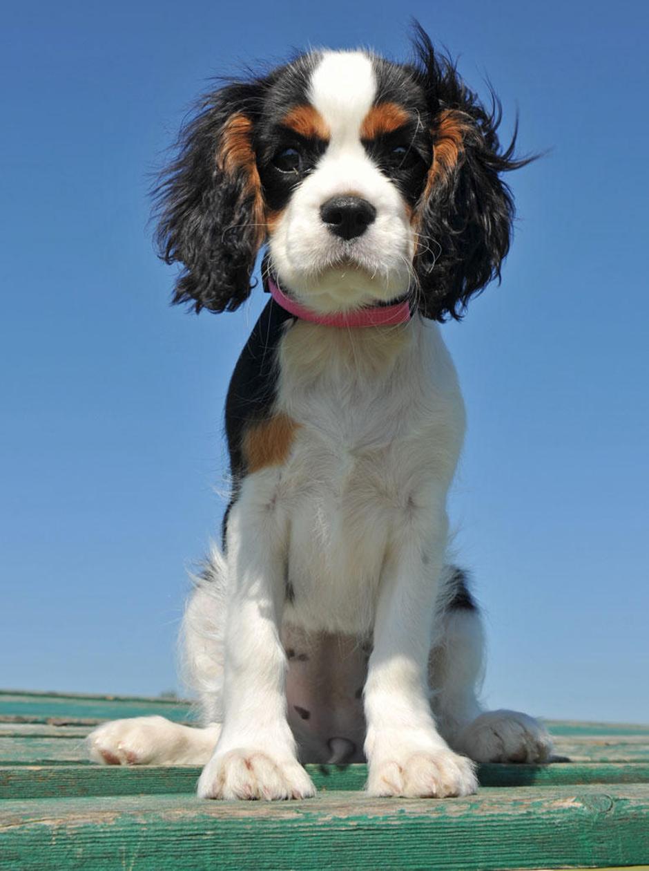 (Foto: Shutterstock) | Avtor: Žurnal24 main