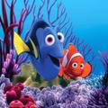 Dory in Nemo