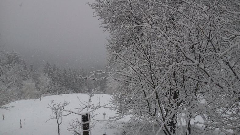 Sneženje v Zavrčah pri Mislinji