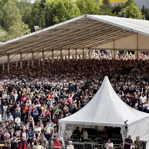 Harmonike v Velenju