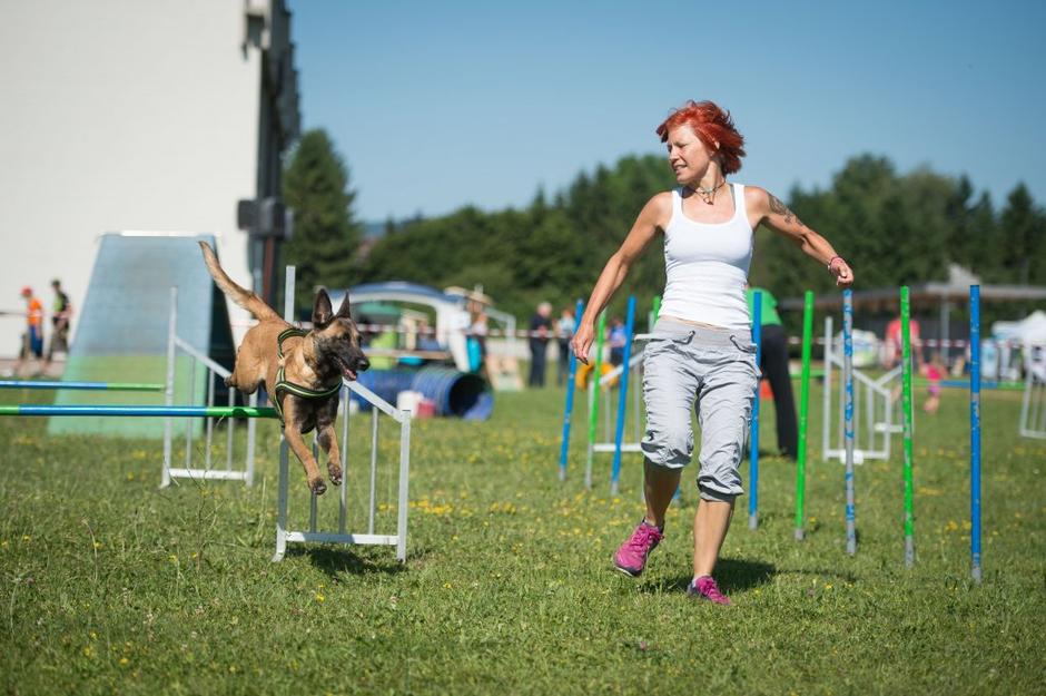 festival za ljubitelje živali | Avtor: Anže Petkovšek