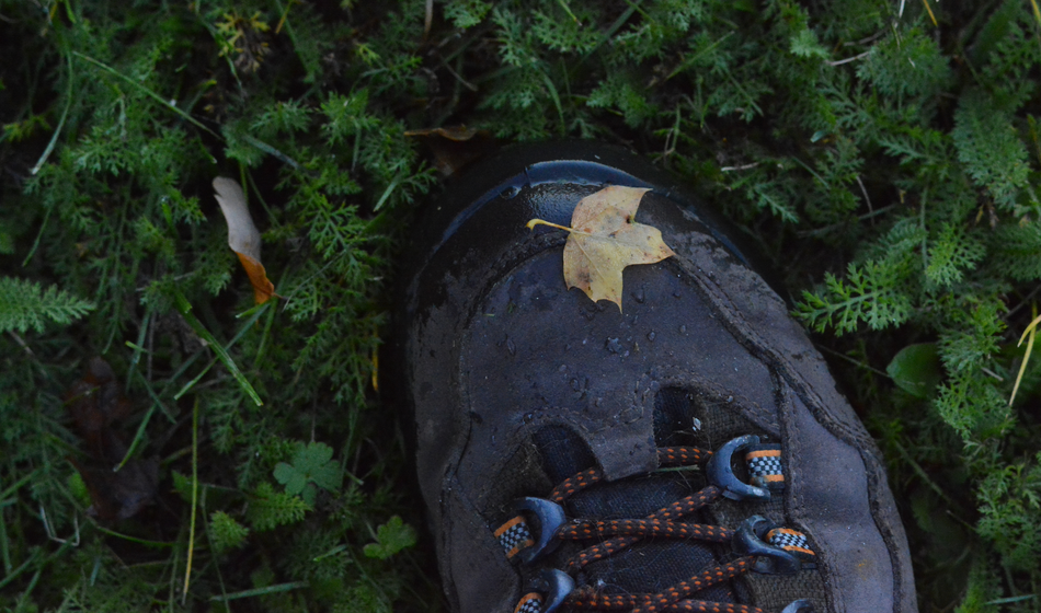 3 najboljši gozdarski čevlji v letu 2026