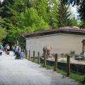 živalski vrt Ljubljana ZOO Ljubljana