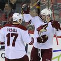 Calgary Flames : Phoenix Coyotes 3:4