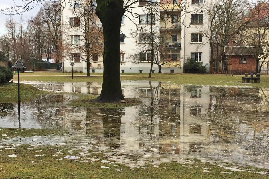 Ljubljana v vodi | Avtor: Anže Petkovšek