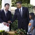 Obama je pomilostil purana z imenoma Jabolko in Jabolčnik. (Foto: Reuters)