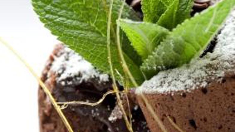 Kako bi se ubranili?