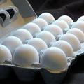 Salmonela se največkrat pojavlja v surovih jajcih.