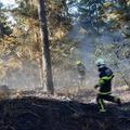 Gašenje požara v gozdu v naselju Voglje, občina Šenčur