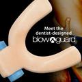 Blowguard