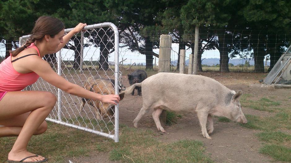 prostovoljstvo v tujini | Avtor: Jan Gerič