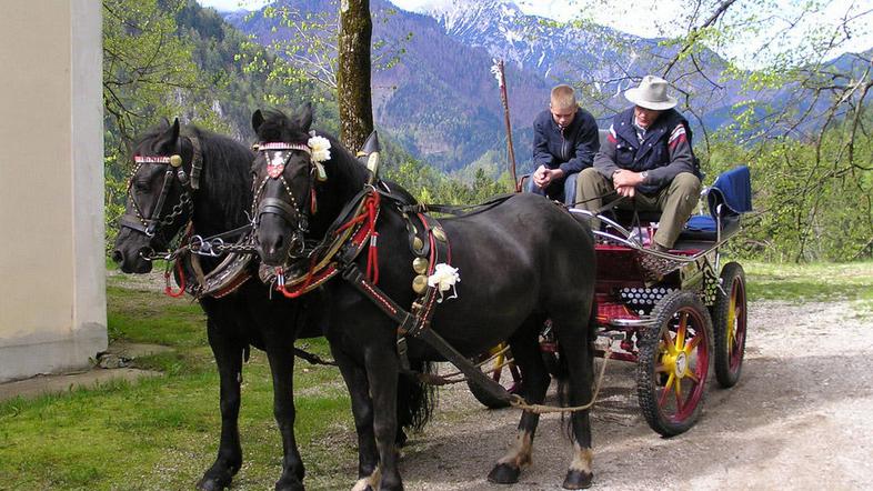 Franci Košir je kočijo, s katero bo obiskovalcem razkazoval znamenitosti Jezersk