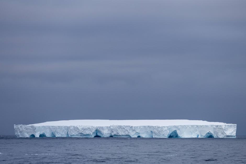 Ledena gora A23a | Avtor: Profimedia