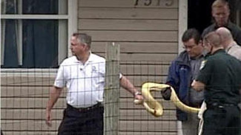 Policija je pitona odnesla iz stanovanja.