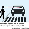 Prometna pravila za prišleke