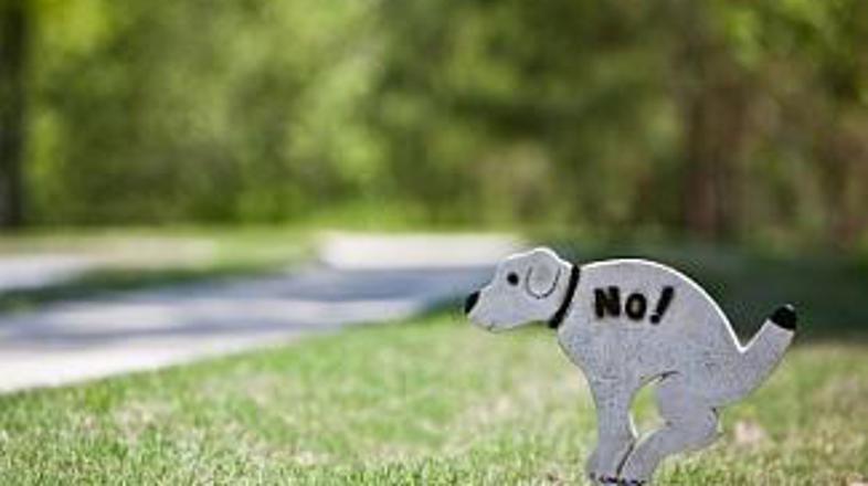 Italijane opozorilne table ne zanimajo preveč, zato v Vercelliju na pomoč v boju