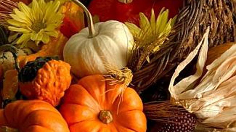 Skoraj vse "sestavine" lahko naberete v gozdu, poiščete na tržnici, narabutate p