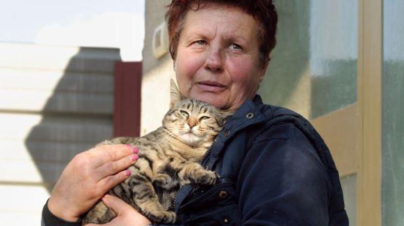 Ne pomnim tako množičnega zastrupljanja mačk. Najbolj žalostno pa je, da lastnik