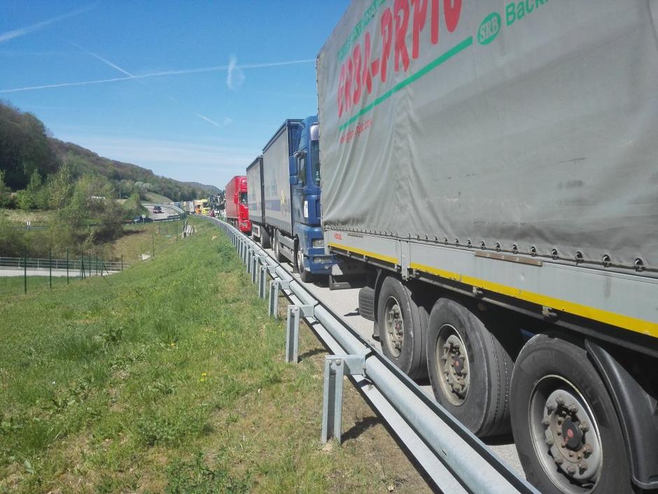 Obrežje | Avtor: Barbara Barbič 