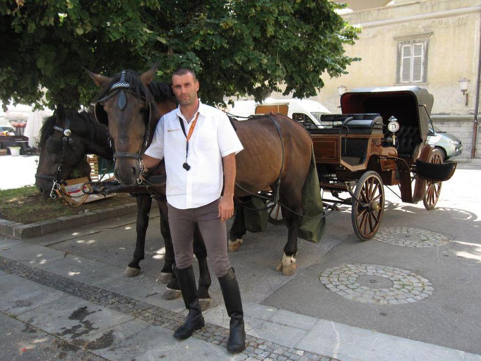 Konja Noni in Barson na vožnje po mestnih ulicah čakata v senci na Grajskem trgu | Avtor: Žurnal24 main