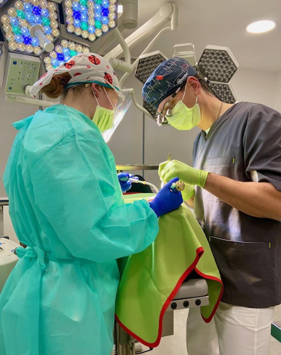 zygoma, dr. gikić, zobje | Avtor: Dentalna poliklinika Dr. Gikić