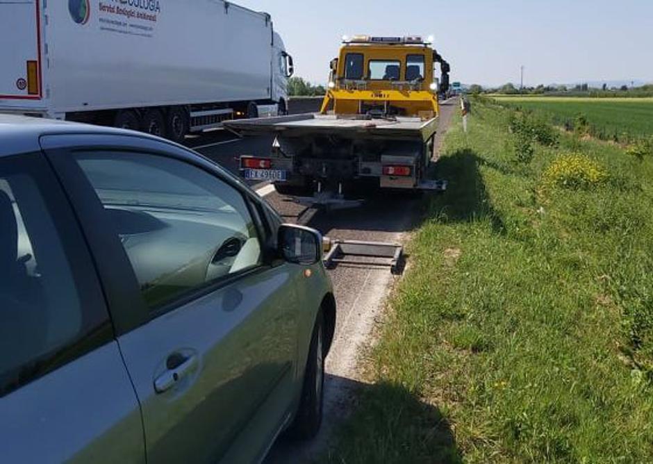  | Avtor: Poslala bralka