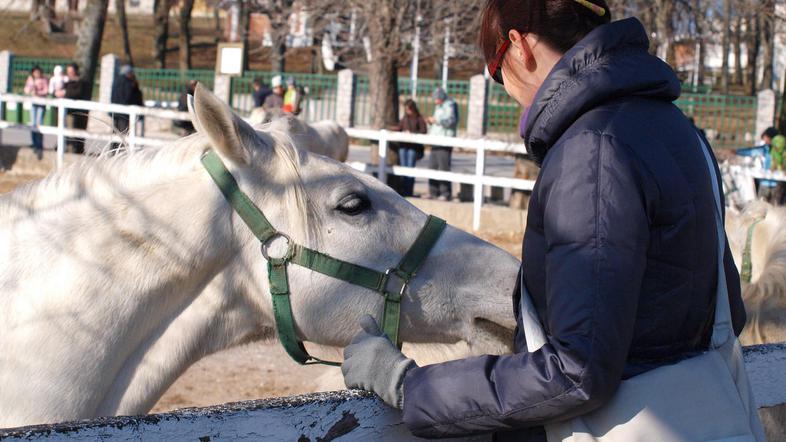 Lesena ograja nujno potrebuje svežo barvo. (Foto: Žurnal24)